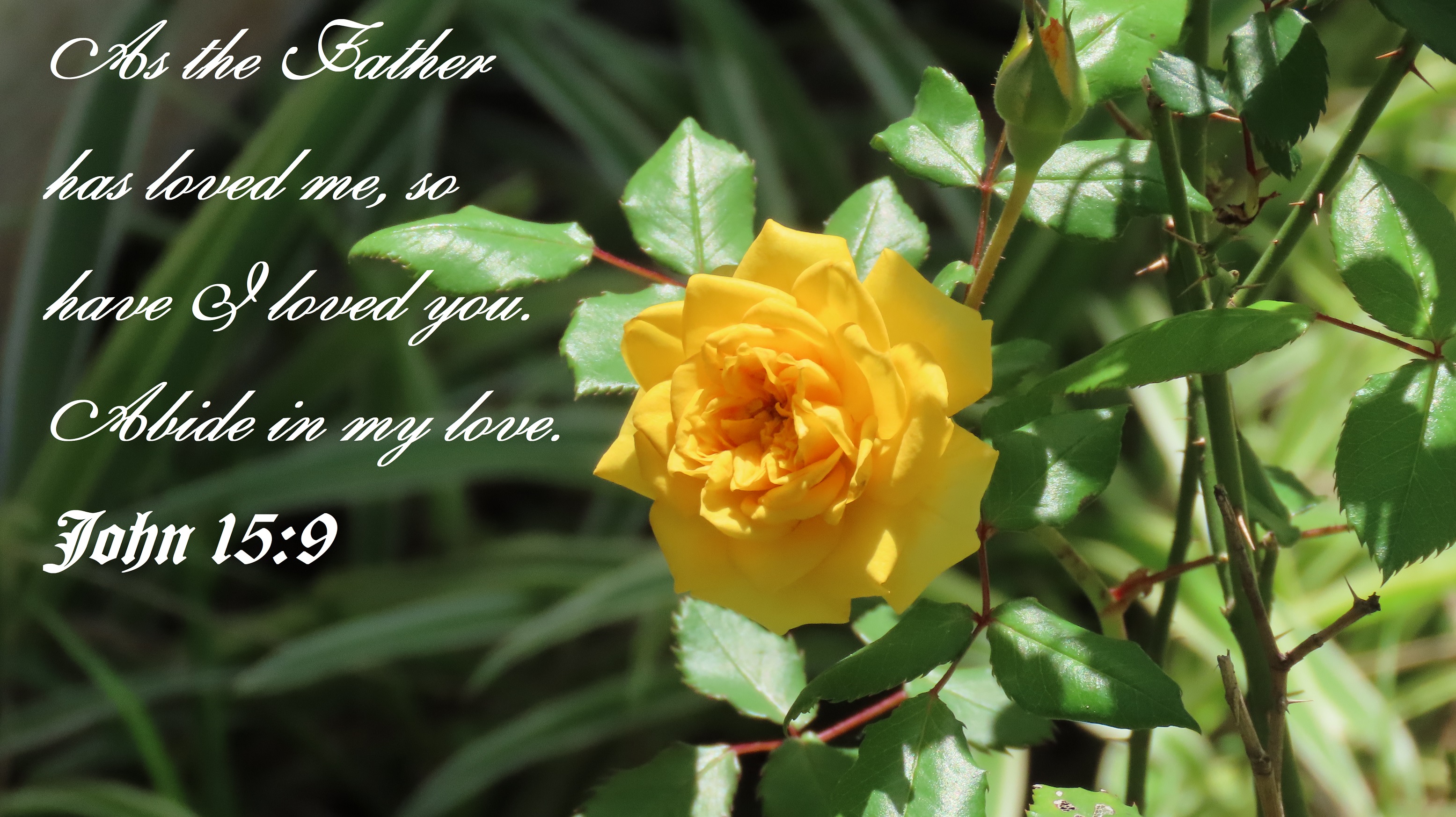 “Love of Jesus Christ” – 