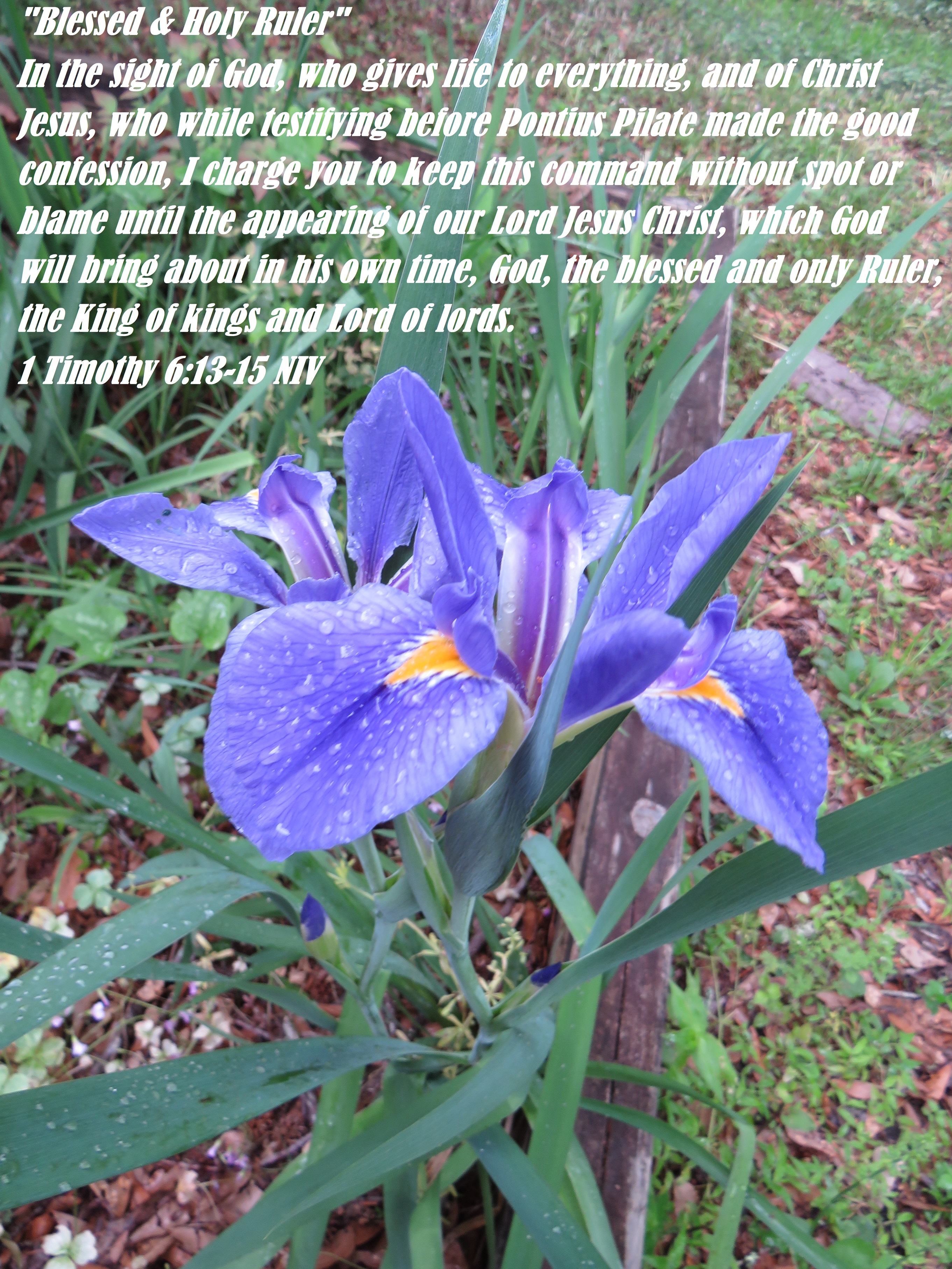 “Blessed & Holy Ruler” – 