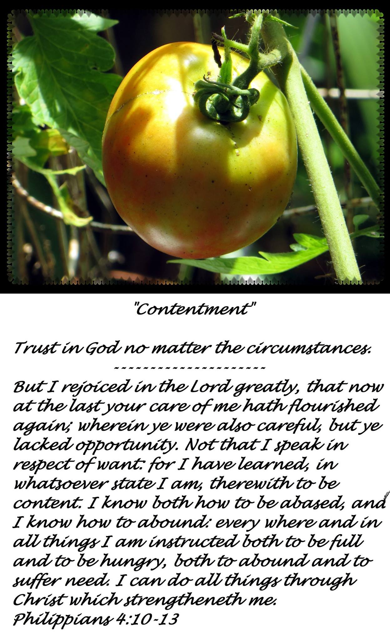 “Contentment” – 
