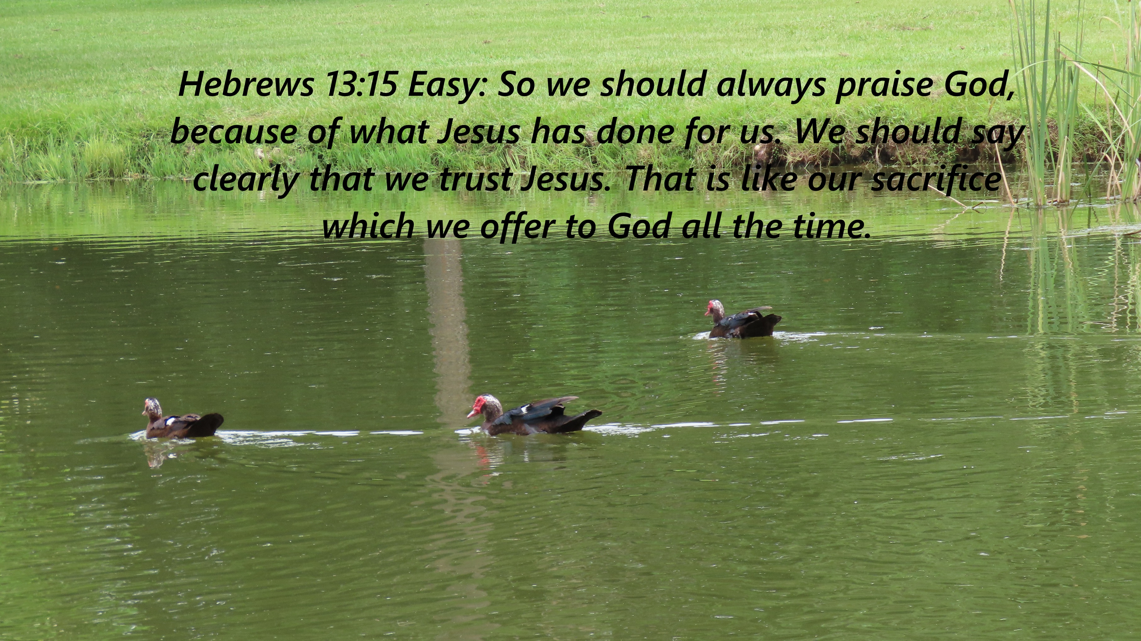 “Always Praise God” – 